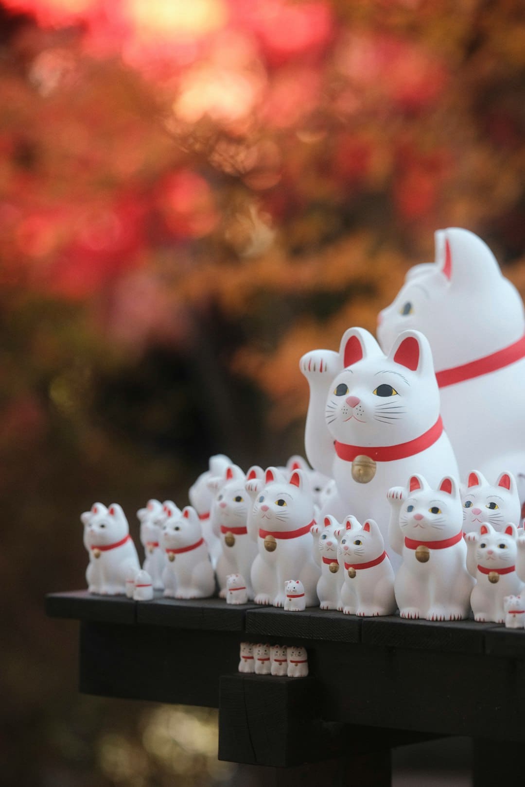 高山7亮相成都车展,魏牌持续发力品牌向上